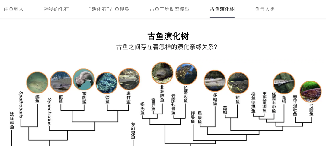 百度百科官网_百度百科_百科百度百科