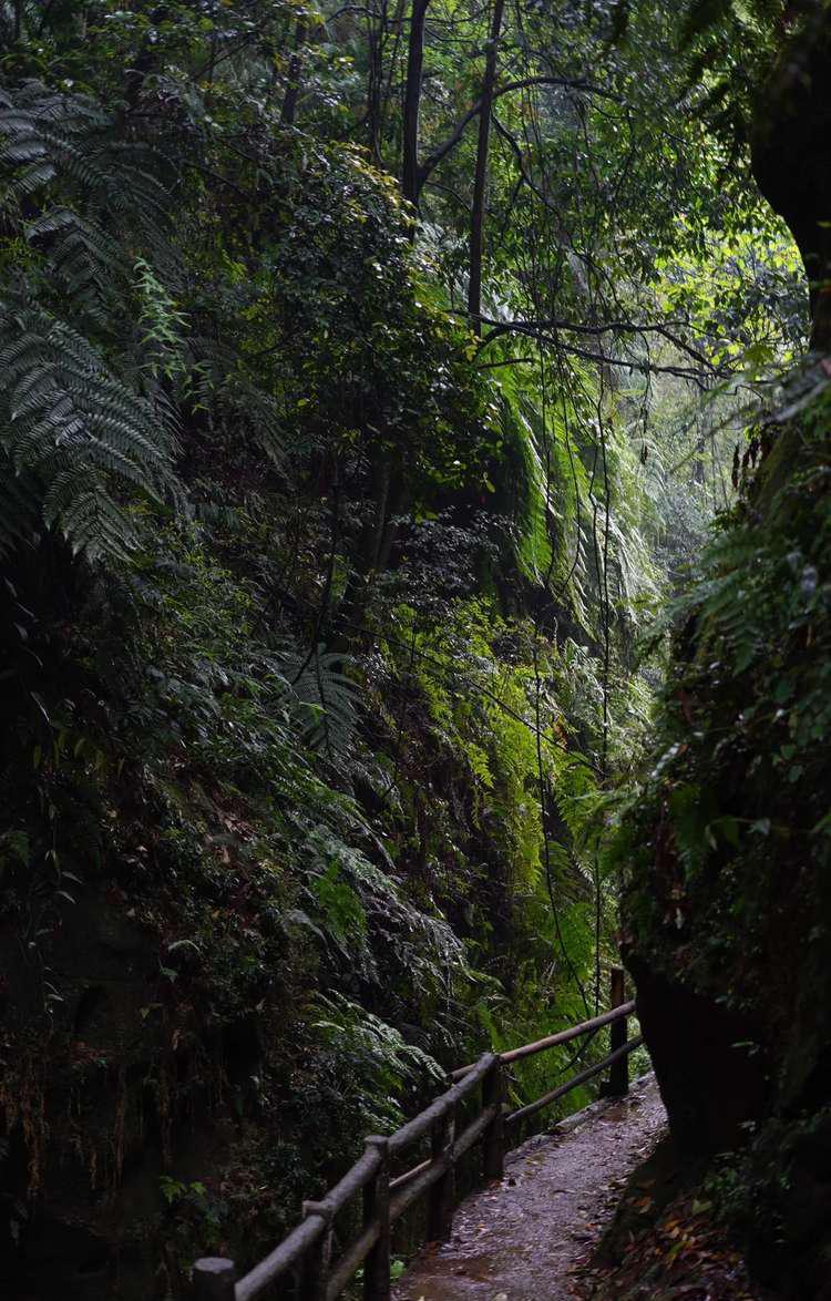 百科百度百科_百度百科官网_百度百科