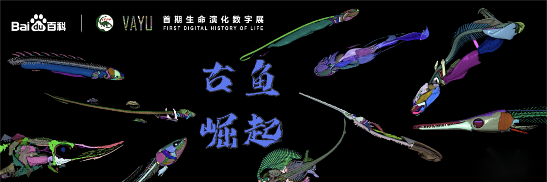 百科百度百科_百度百科_百度百科官网
