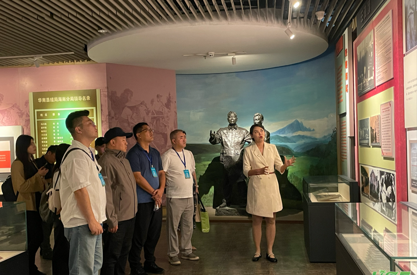媒体网络是什么_媒体网络平台_网络媒体