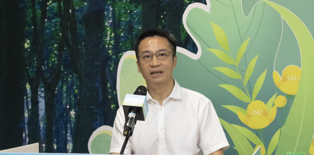 网络媒体_媒体网络平台_媒体网络是什么