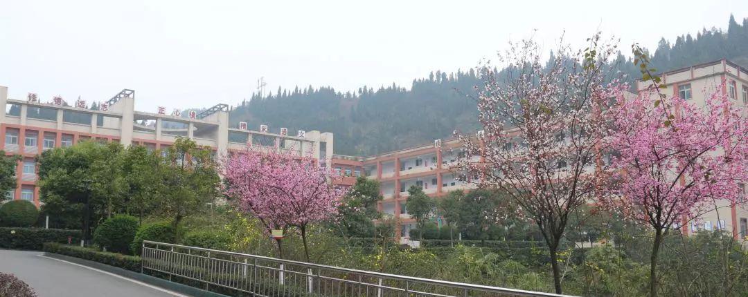 媒体网络平台_媒体网络营销价钱_网络媒体