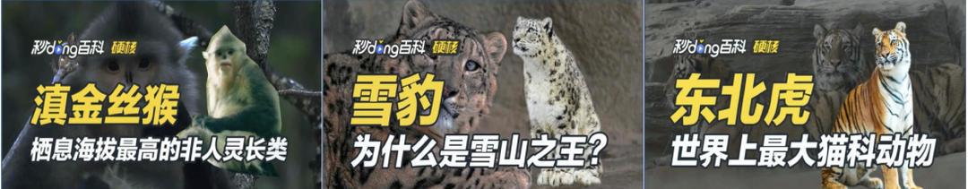百度百科_仙逆百度百科_百科百度百科官网