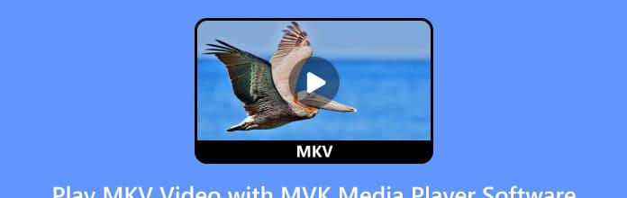MKV 视频添加到 MKV 播放器